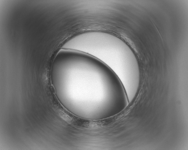 X0000073900305200608110942