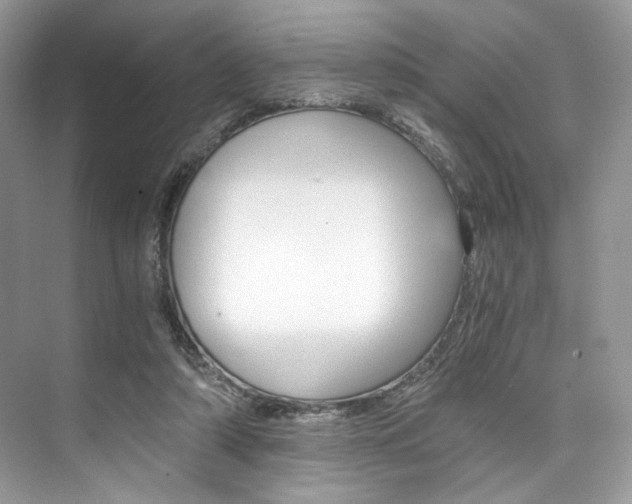 X0000073900306200608110942