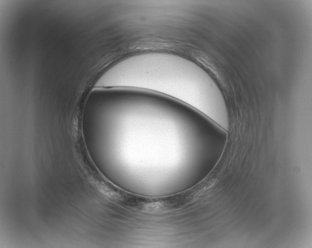 X0000073900309200608110942