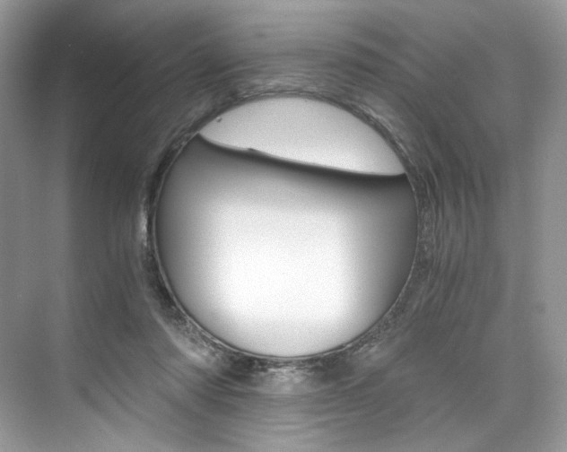 X0000073900310200608110942