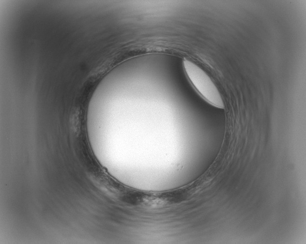 X0000073900311200608110942