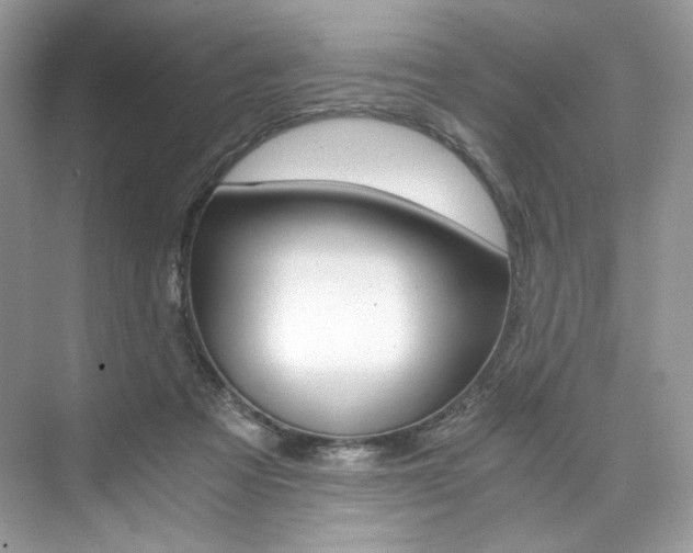 X0000073900313200608110942