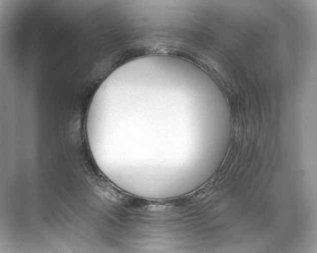 X0000073900314200608110942