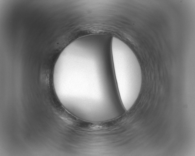 X0000073900315200608110942