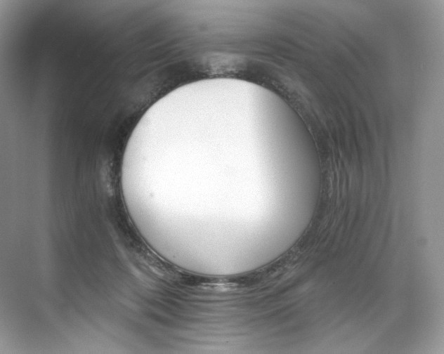 X0000073900316200608110942