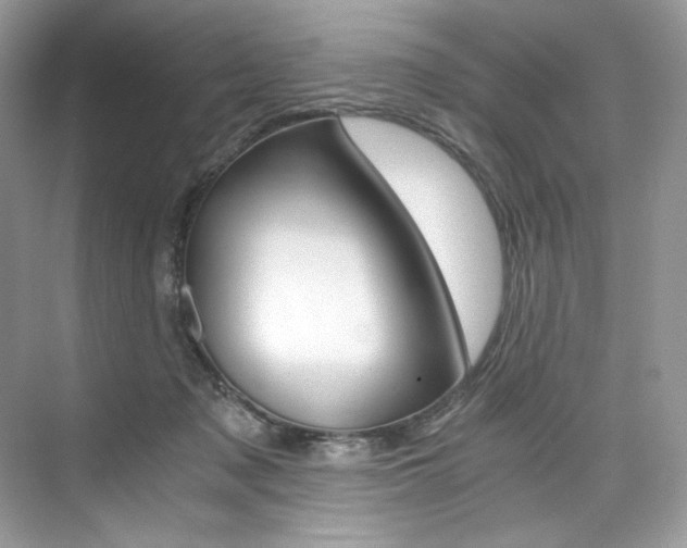 X0000073900317200608110942