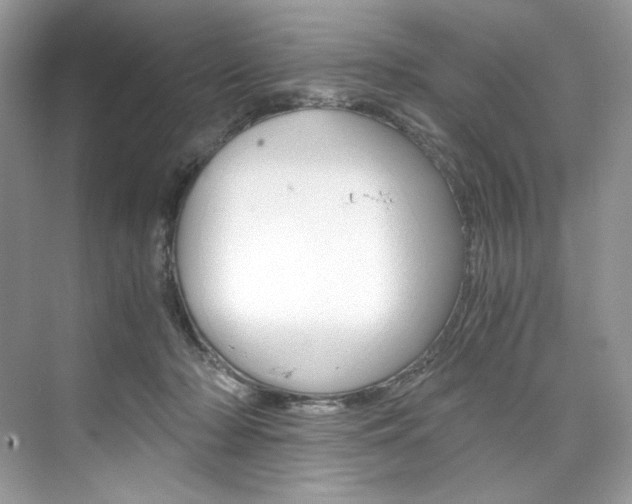 X0000073900318200608110942