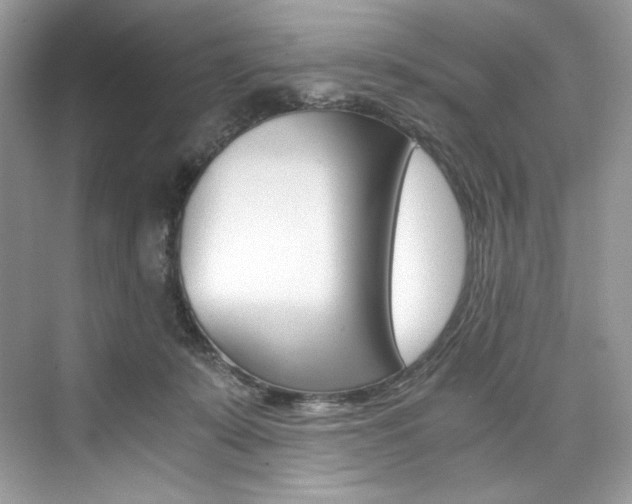 X0000073900319200608110942