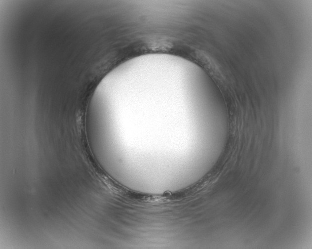 X0000073900321200608110942