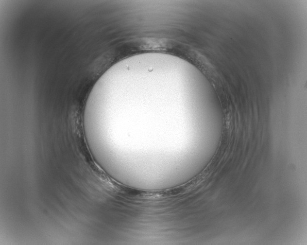 X0000073900322200608110942