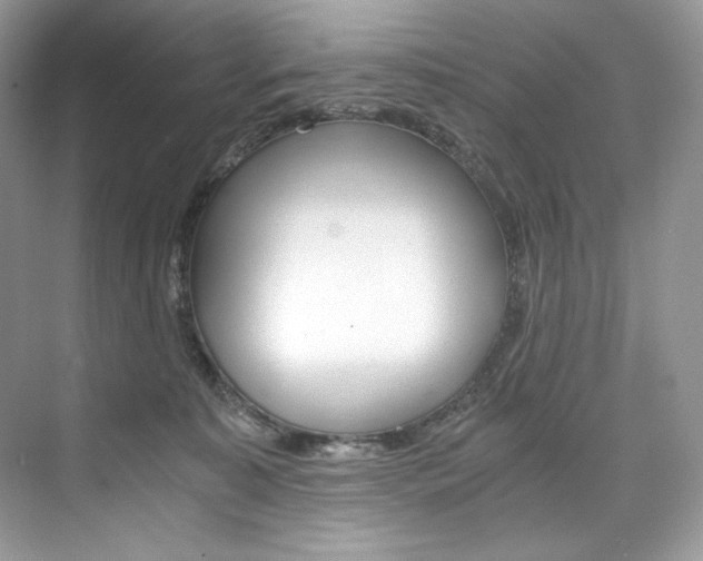 X0000073900323200608110942