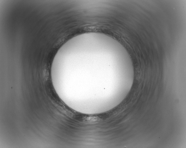 X0000073900324200608110942