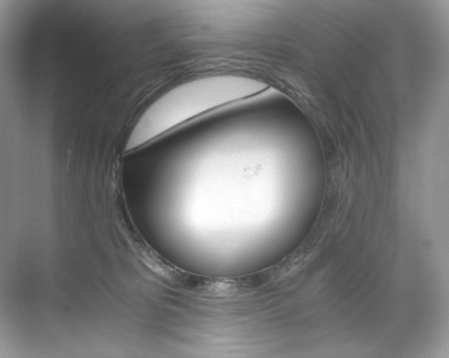 X0000073900325200608110942