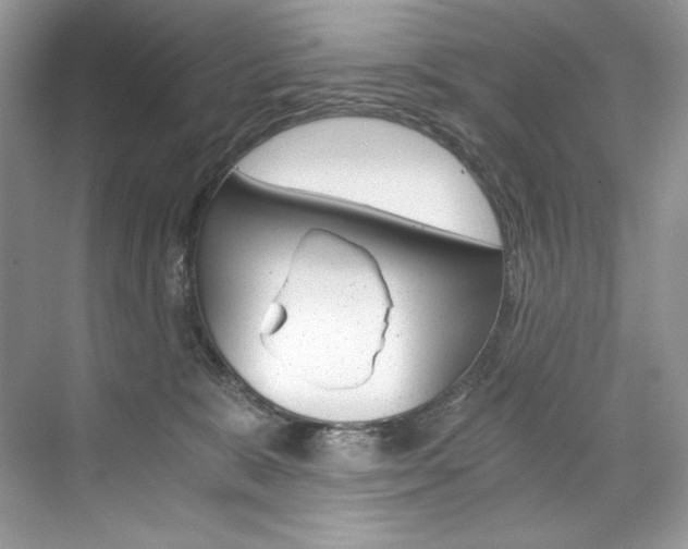 X0000073900327200608110942