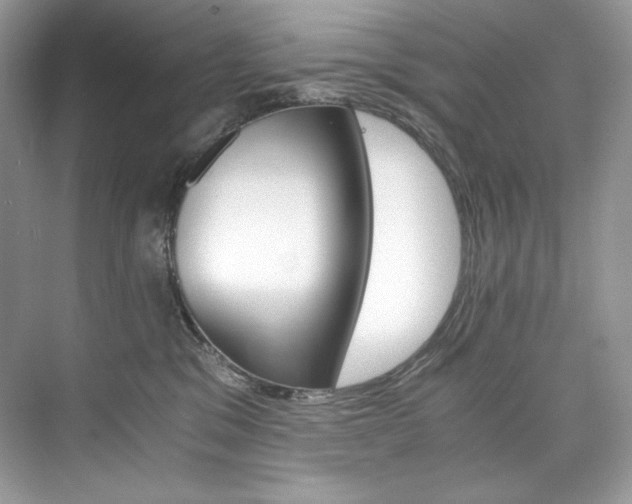 X0000073900329200608110942