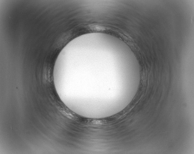 X0000073900330200608110942