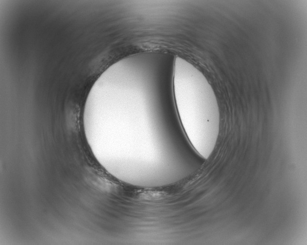 X0000073900332200608110942