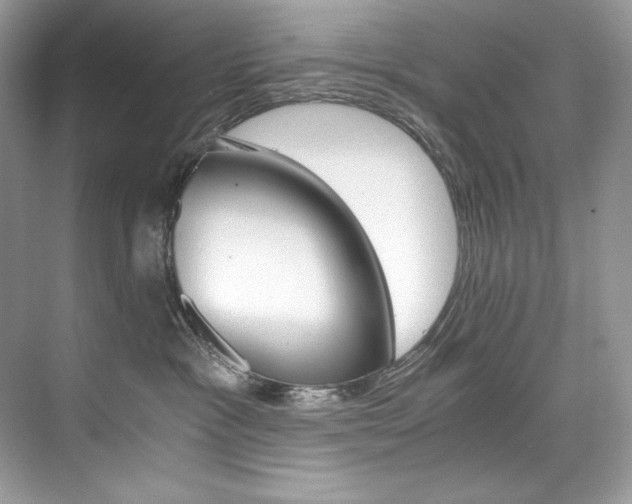 X0000073900333200608110942