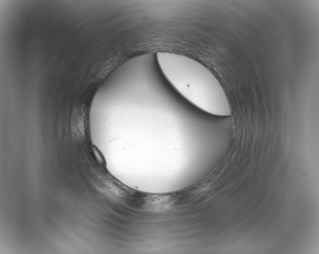 X0000073900334200608110942