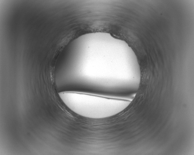 X0000073900335200608110942