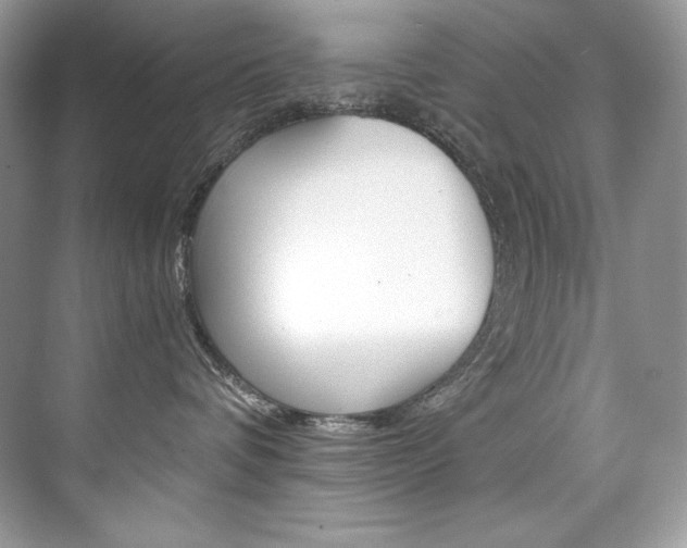 X0000073900336200608110942