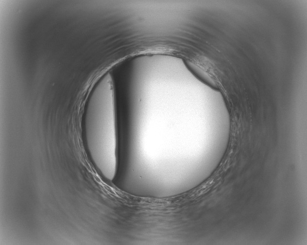 X0000073900337200608110941