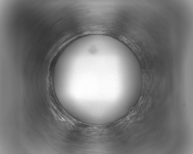 X0000073900338200608110941