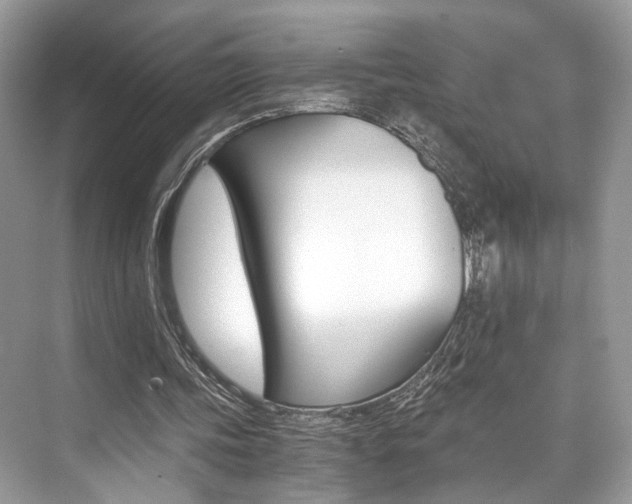 X0000073900339200608110941