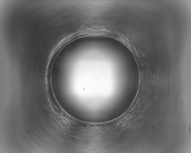 X0000073900340200608110941