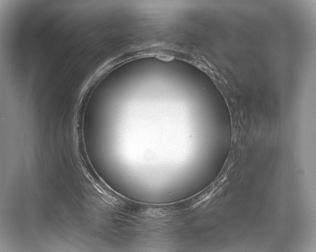 X0000073900341200608110941