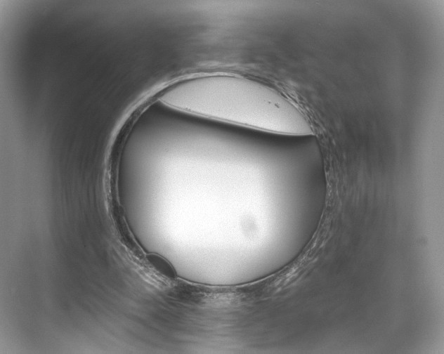 X0000073900342200608110941