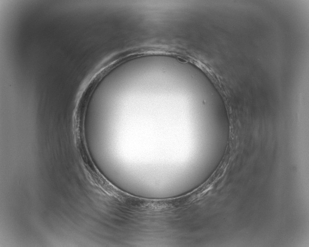 X0000073900343200608110941