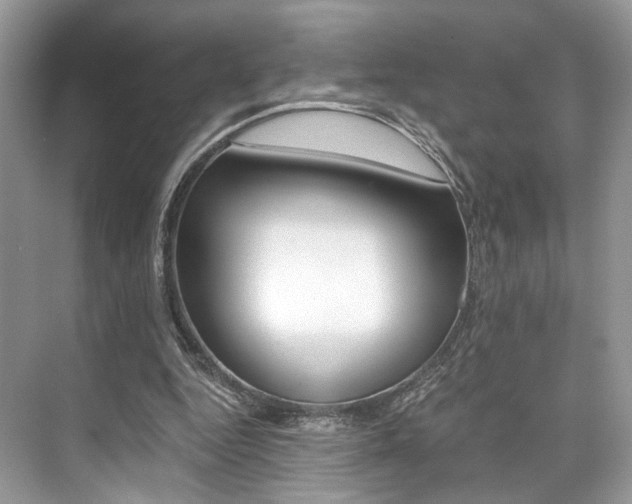 X0000073900344200608110941