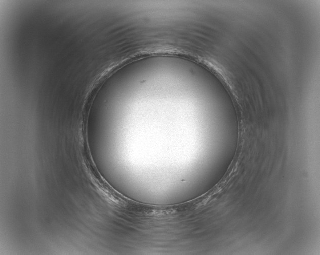 X0000073900345200608110941