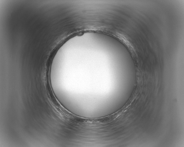 X0000073900346200608110941