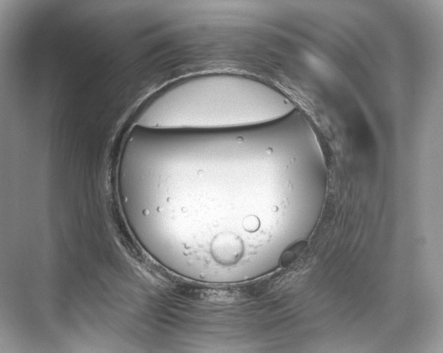 X0000073900347200608110941