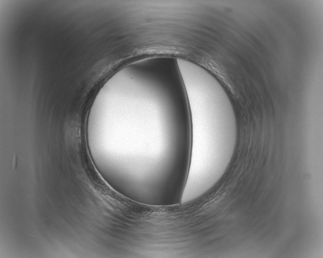 X0000073900348200608110941