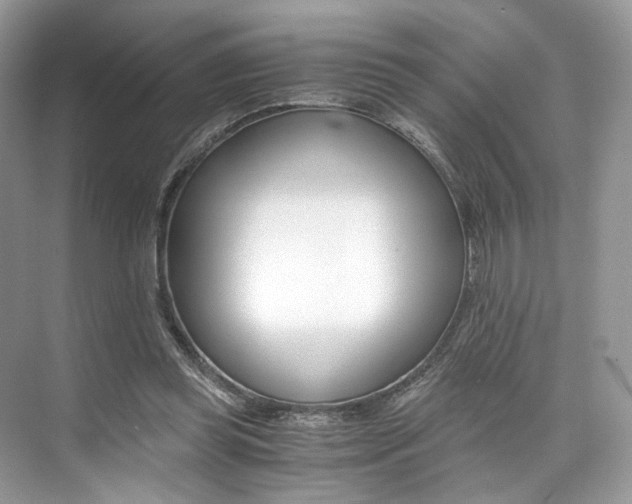 X0000073900349200608110941