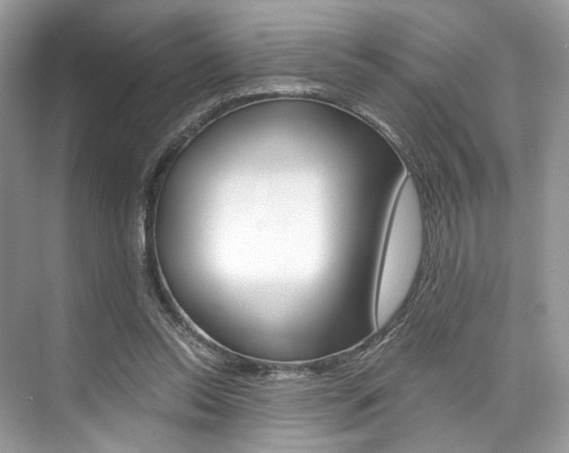 X0000073900350200608110941