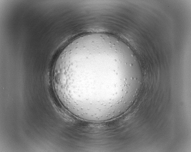 X0000073900351200608110941