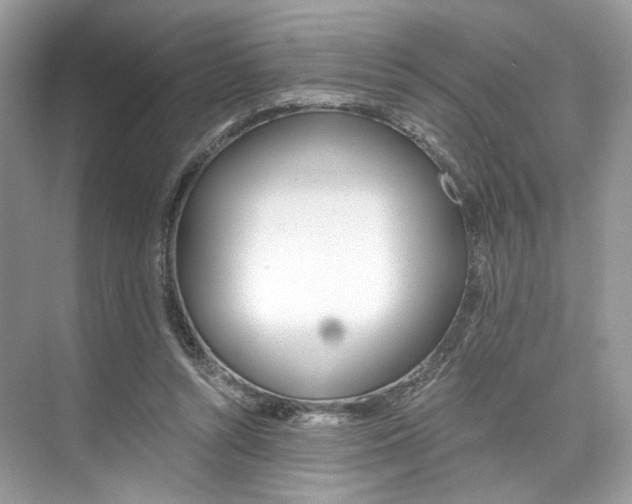 X0000073900352200608110941