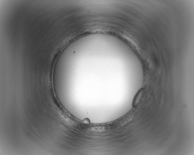 X0000073900353200608110941