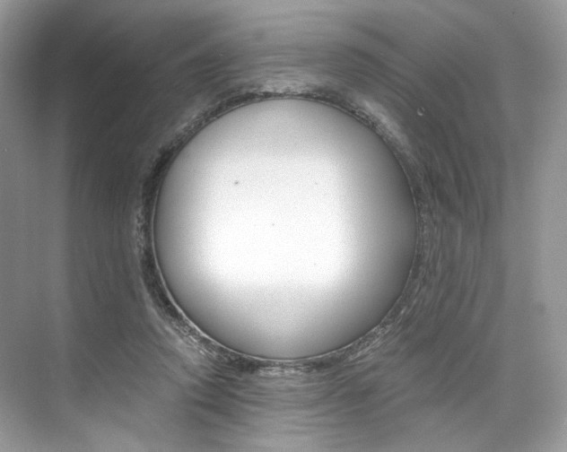 X0000073900354200608110941