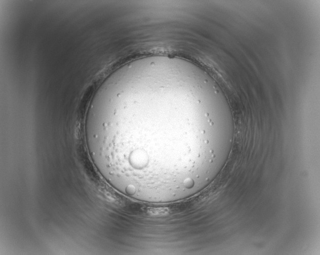 X0000073900355200608110941