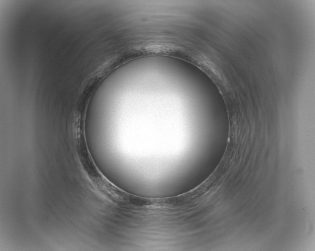 X0000073900356200608110941