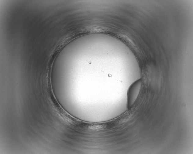 X0000073900357200608110941