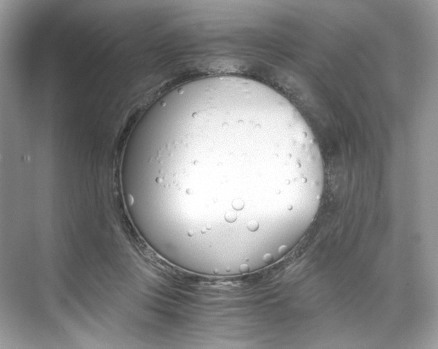 X0000073900359200608110941