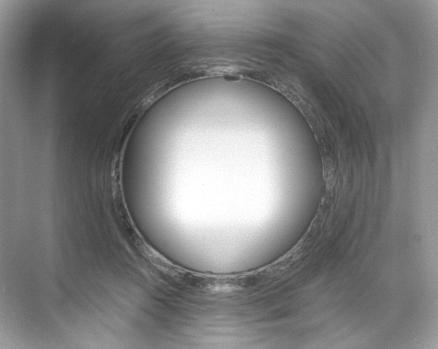 X0000073900360200608110941