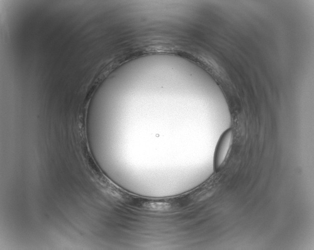 X0000073900361200608110941