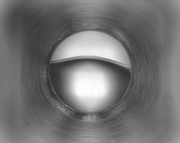 X0000073900362200608110941